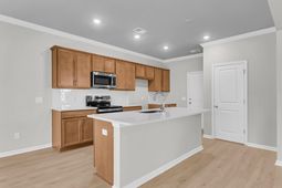 248 Central Creek Drive photo 4