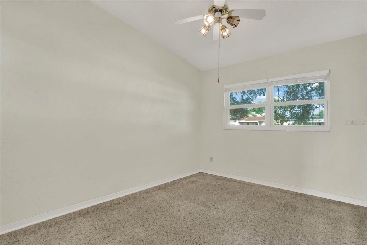 4496 13th Lane Ne, Saint Petersburg, FL 33703 Photo
