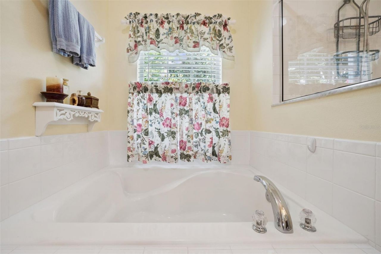 2243 Wolf Ridge Lane , Mount Dora, FL 32757 Photo