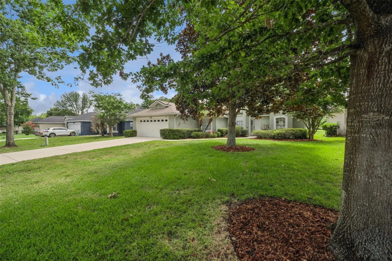 2243 Wolf Ridge Lane , Mount Dora, FL 32757 Photo