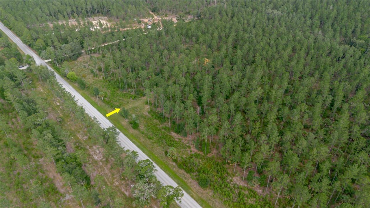 Ne 90th Street Road , Fort Mc Coy, FL 32134 Photo