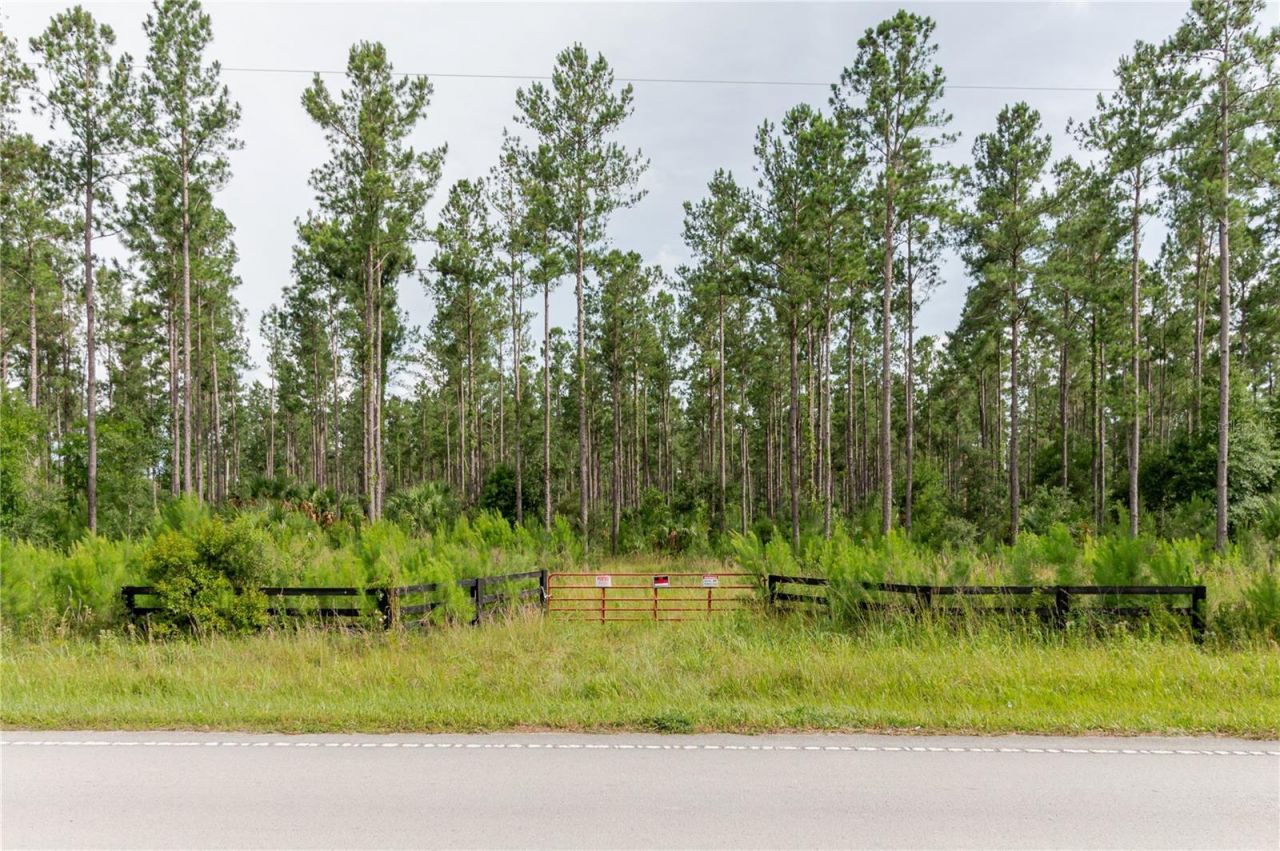 Ne 90th Street Road , Fort Mc Coy, FL 32134 Photo