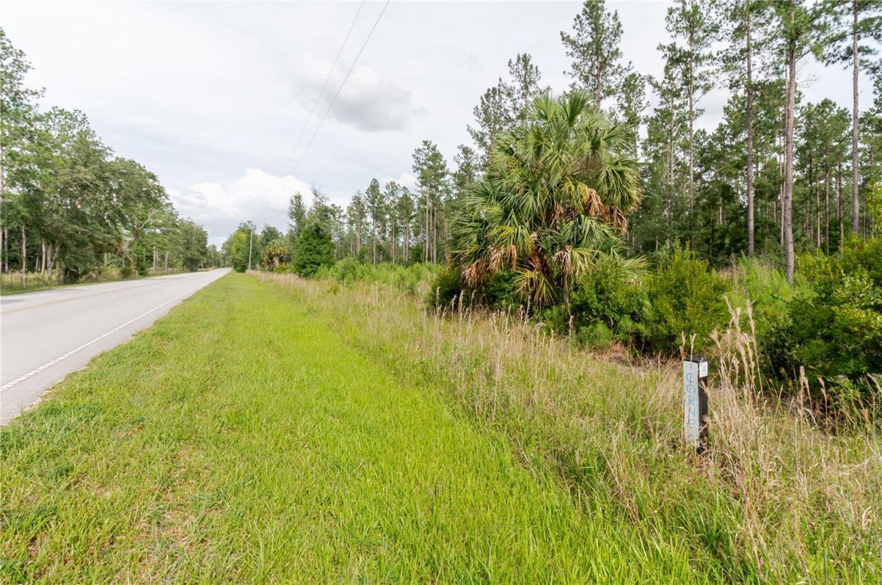 Ne 90th Street Road , Fort Mc Coy, FL 32134 Photo