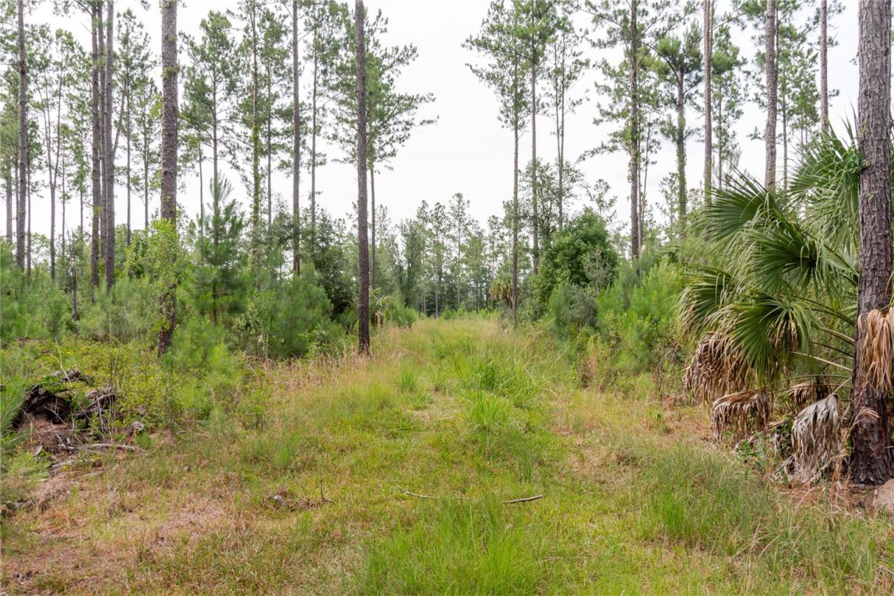 Ne 90th Street Road , Fort Mc Coy, FL 32134 Photo
