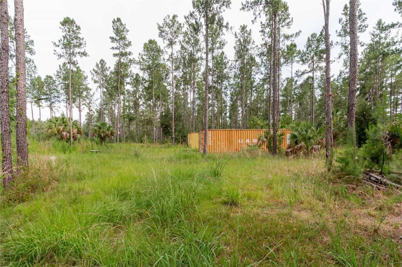 Ne 90th Street Road , Fort Mc Coy, FL 32134 Photo