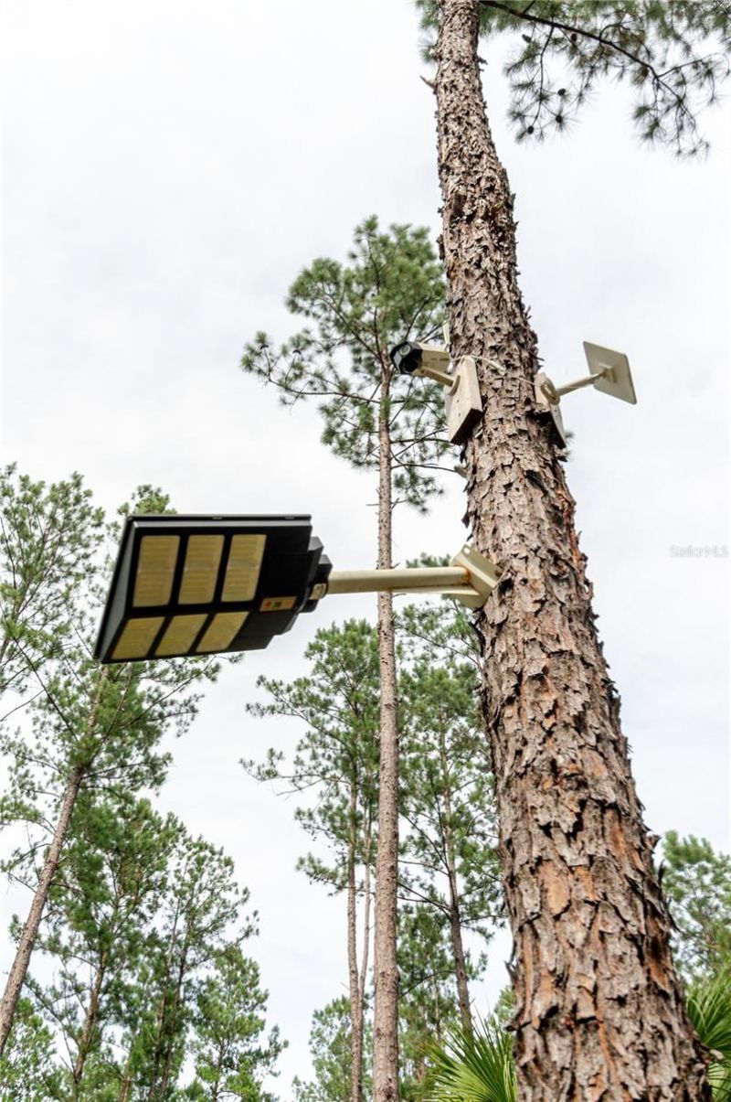 Ne 90th Street Road , Fort Mc Coy, FL 32134 Photo