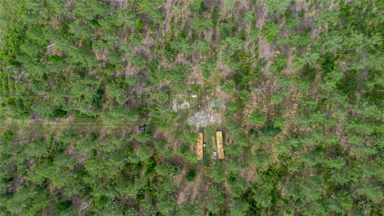 Ne 90th Street Road , Fort Mc Coy, FL 32134 Photo