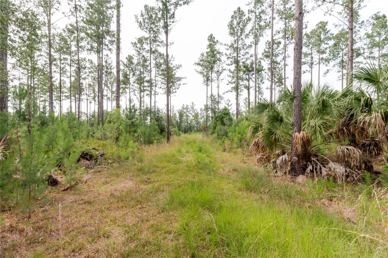 Ne 90th Street Road , Fort Mc Coy, FL 32134 Photo