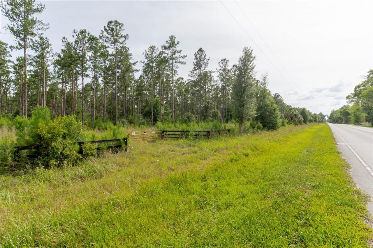 Ne 90th Street Road , Fort Mc Coy, FL 32134 Photo