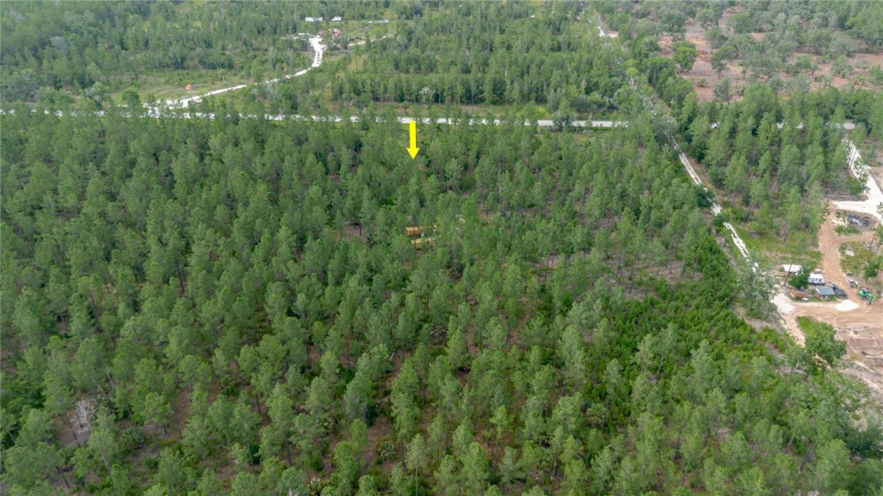 Ne 90th Street Road , Fort Mc Coy, FL 32134 Photo