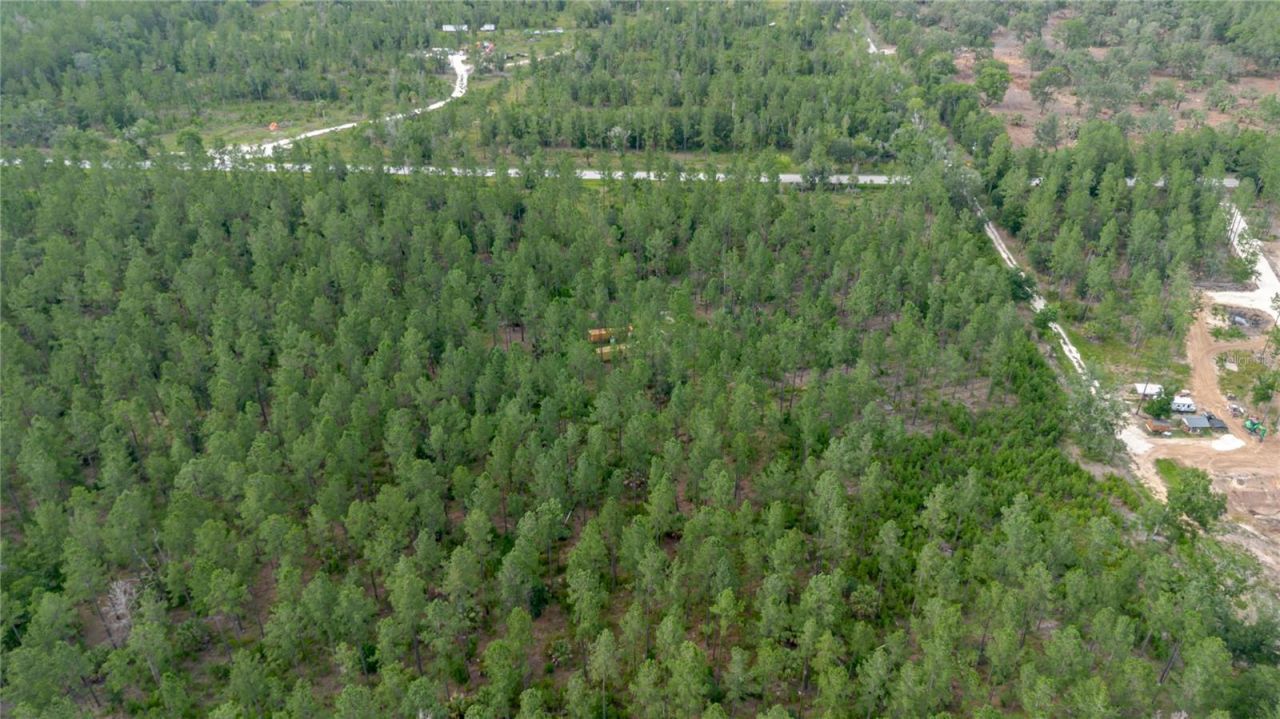 Ne 90th Street Road , Fort Mc Coy, FL 32134 Photo