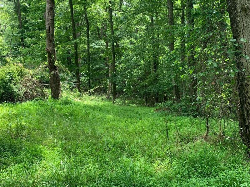 9879 Snortin Ridge Road SW, Lancaster, OH 43130 Photo 14
