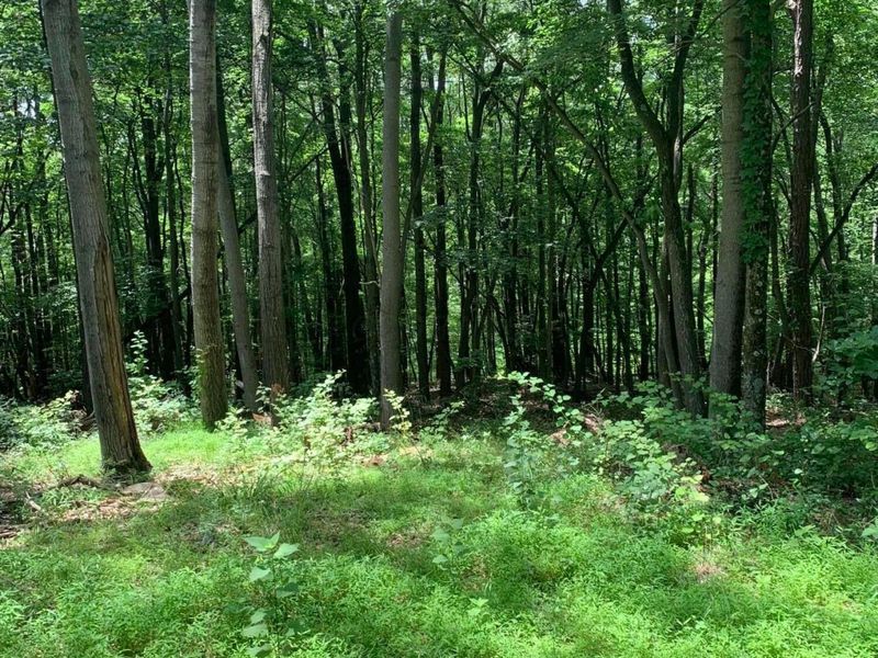 9879 Snortin Ridge Road SW, Lancaster, OH 43130 Photo 15