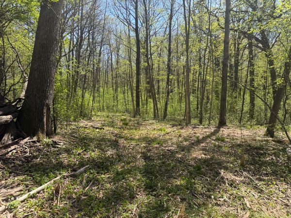 XXX State Hwy 46 , Balsam Lake, WI 54810