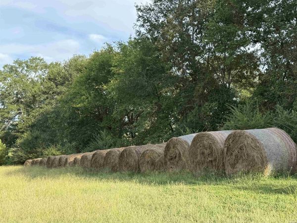 299 Tract 1 HARMONY LANE, Amity, AR 71921