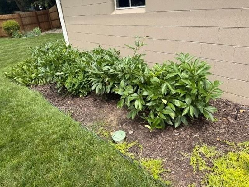 372 E Lincoln Avenue, Columbus, OH 43214 Photo 39