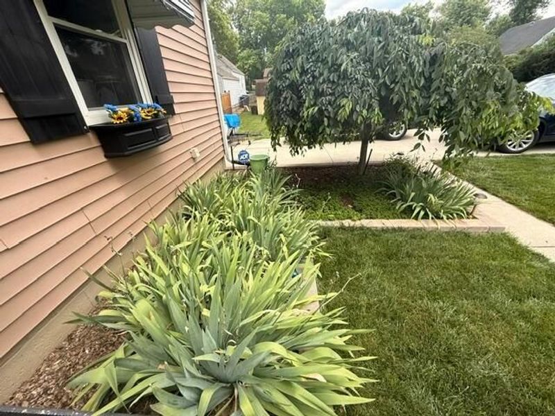 372 E Lincoln Avenue, Columbus, OH 43214 Photo 5