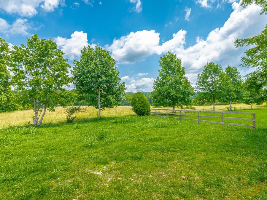 Property Image 158