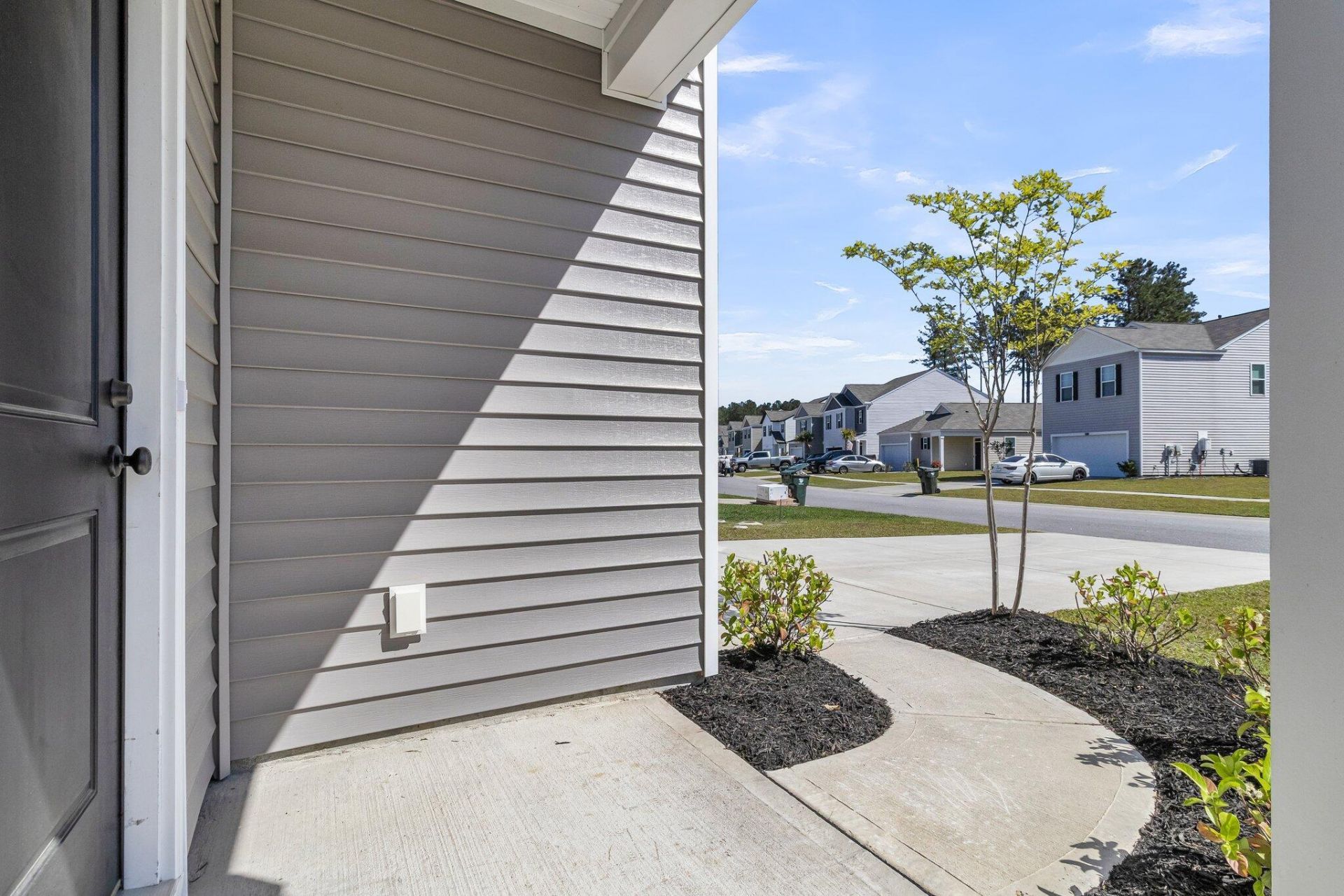 303 Black Birch Drive Photo 9