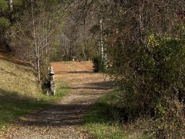 11 New Home Road, Marshall, NC 28753