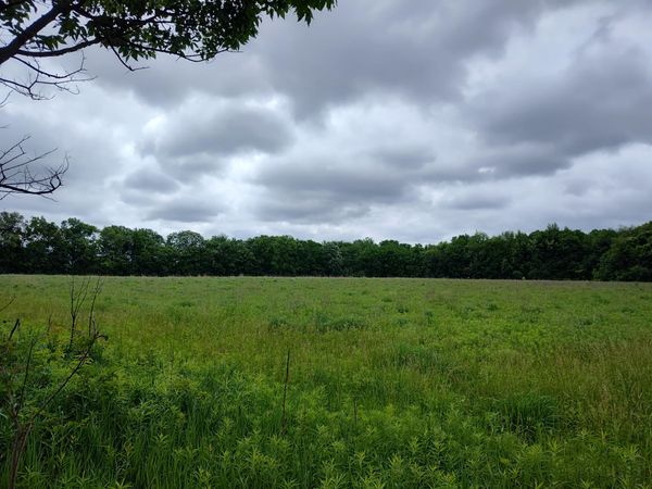 E Division Street, Sherwood, MI 49089