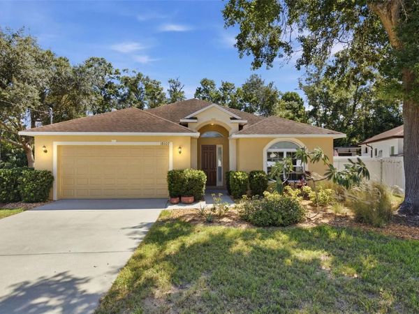 15107 MONET DRIVE, TAMPA, FL 33613