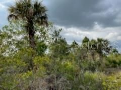 50530 Bermont Road , Punta Gorda, FL 33982 Photo