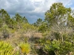 50530 Bermont Road , Punta Gorda, FL 33982 Photo