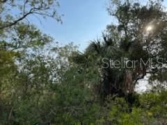 50530 Bermont Road , Punta Gorda, FL 33982 Photo