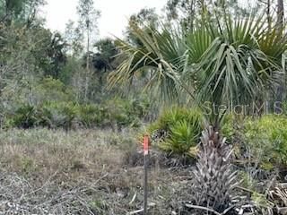 50530 Bermont Road , Punta Gorda, FL 33982 Photo