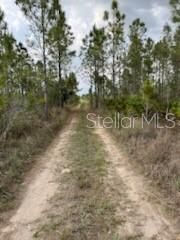 50530 Bermont Road , Punta Gorda, FL 33982 Photo