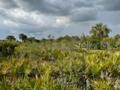 50530 Bermont Road , Punta Gorda, FL 33982 Photo