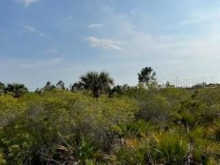 50530 Bermont Road , Punta Gorda, FL 33982 Photo