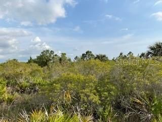 50530 Bermont Road , Punta Gorda, FL 33982 Photo