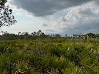 50530 Bermont Road , Punta Gorda, FL 33982 Photo