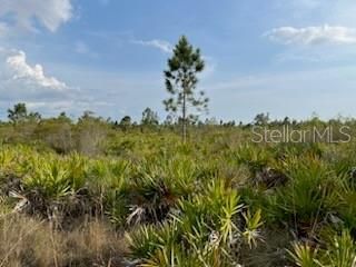 50530 Bermont Road , Punta Gorda, FL 33982 Photo