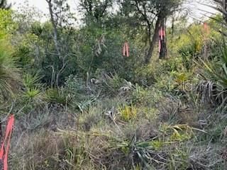 50530 Bermont Road , Punta Gorda, FL 33982 Photo