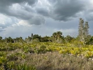 50530 Bermont Road , Punta Gorda, FL 33982 Photo