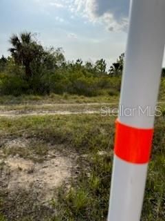 50530 Bermont Road , Punta Gorda, FL 33982 Photo