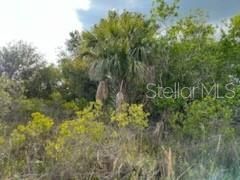 50530 Bermont Road , Punta Gorda, FL 33982 Photo