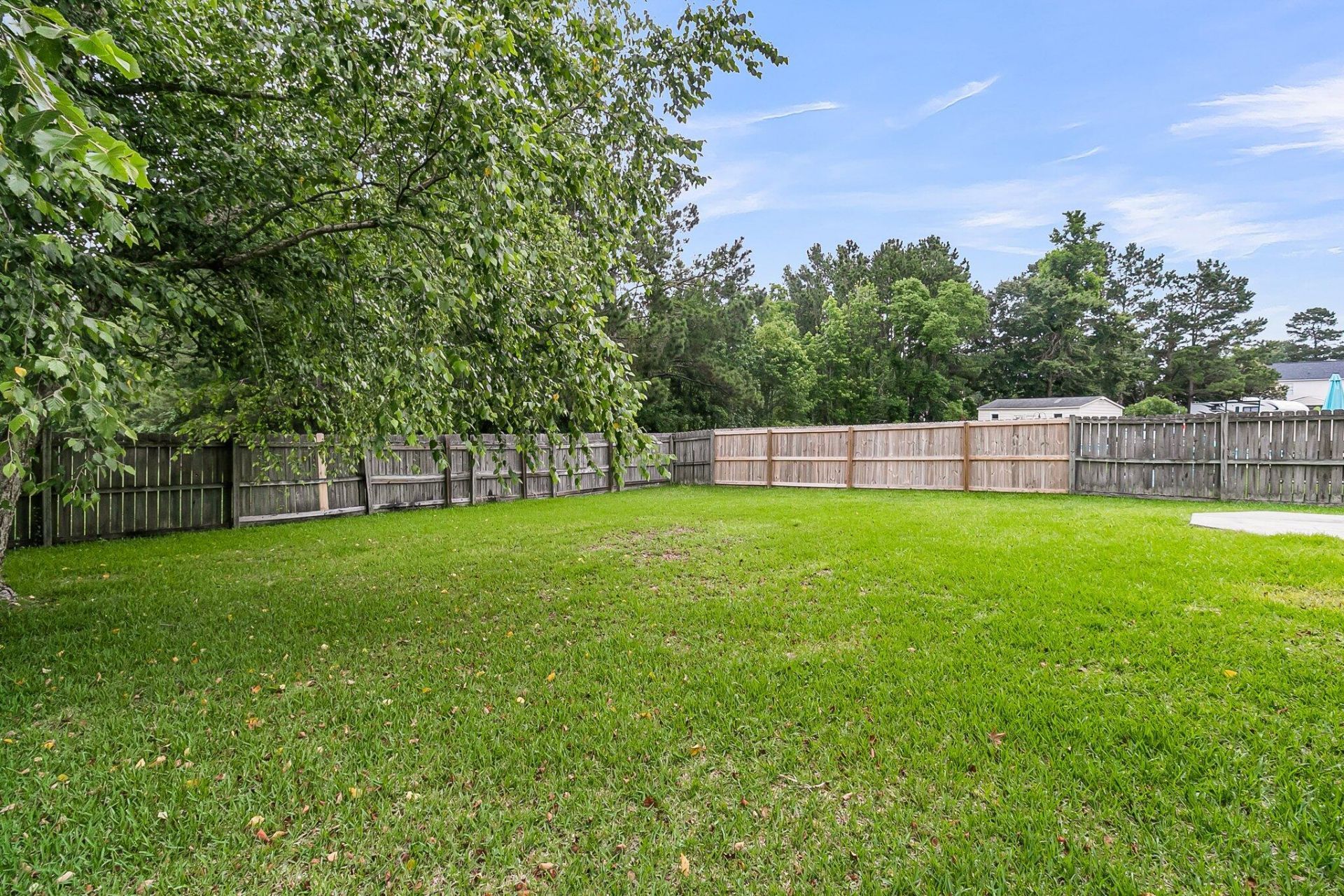 1333 Pinyon Pine Drive Photo 14