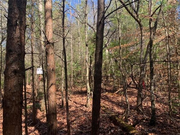 0 East New Hope Road , Ellijay, GA 30536
