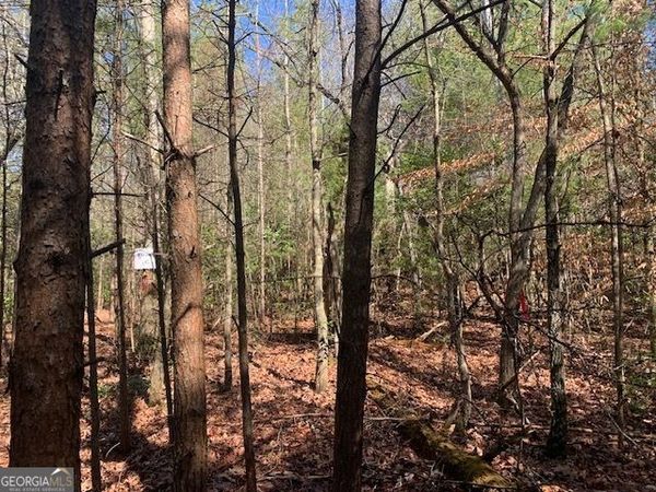 0 East New Hope Road, Unit TRACT C, Ellijay, GA 30536