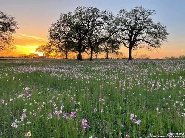 460 WOELKE RD, Seguin, TX 78155