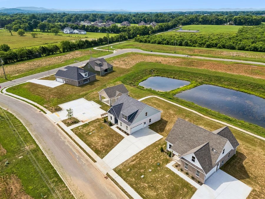 Property Image 60