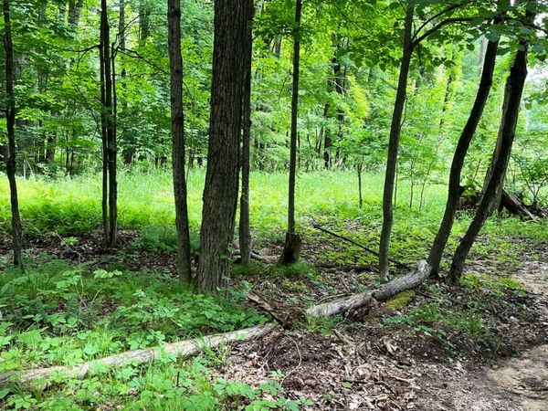 00 Pierce Road, Stanwood, MI 49346