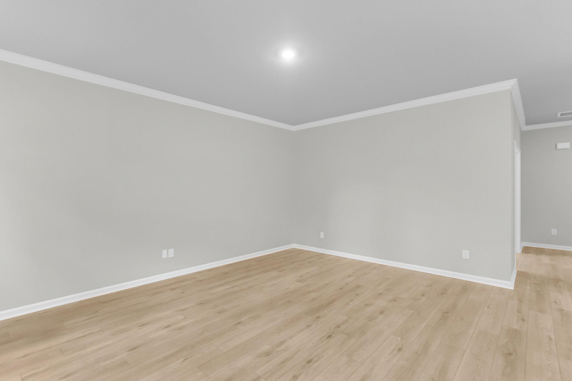 113 Old Creek Court Photo 17
