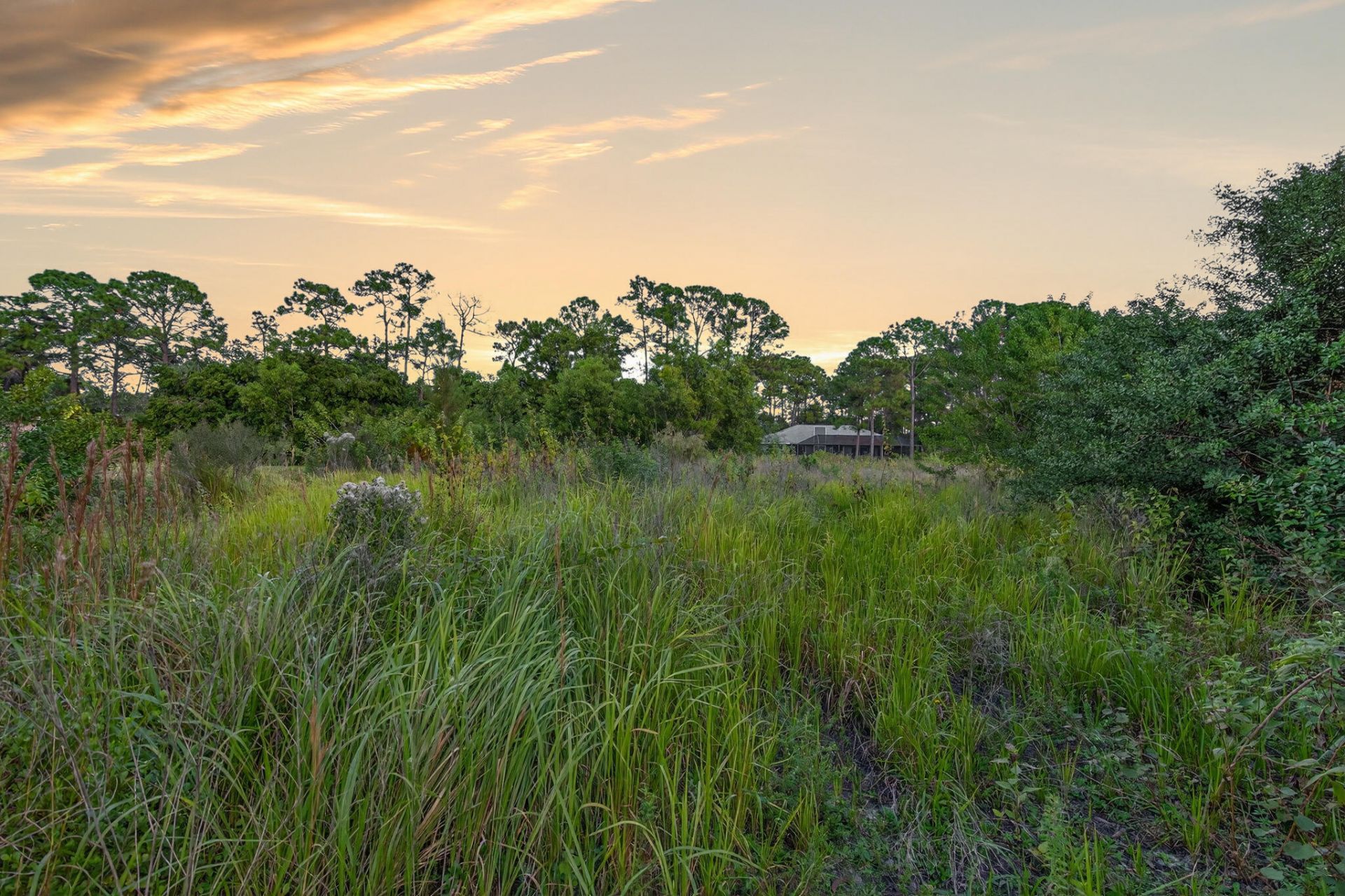 0 155th Place N, Jupiter Farms, FL 33478 Photo