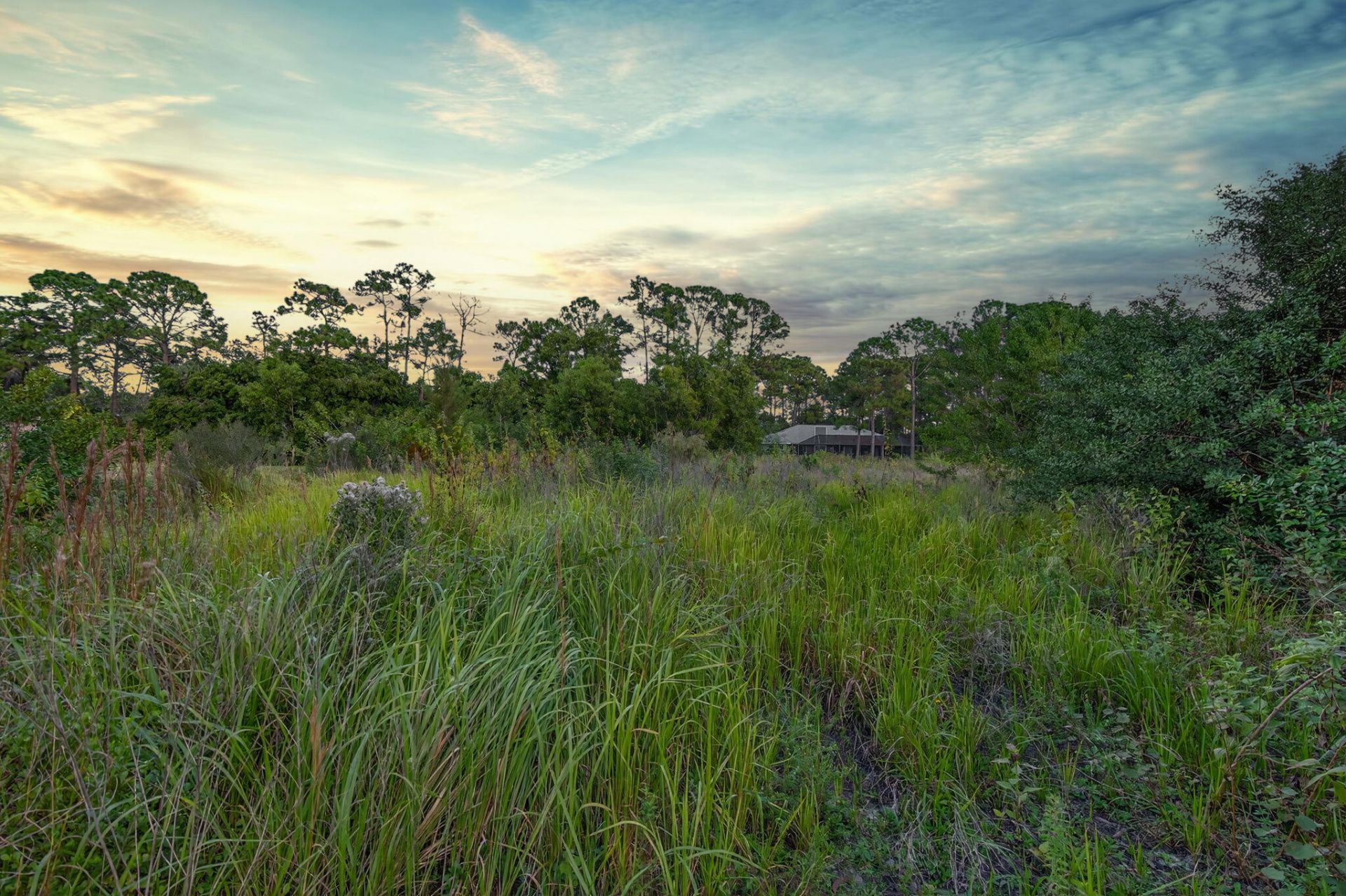 0 155th Place N, Jupiter Farms, FL 33478 Photo
