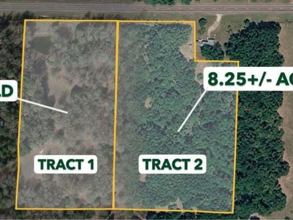TRACT 2 tbd Fm 1365 , Teague, TX 76667